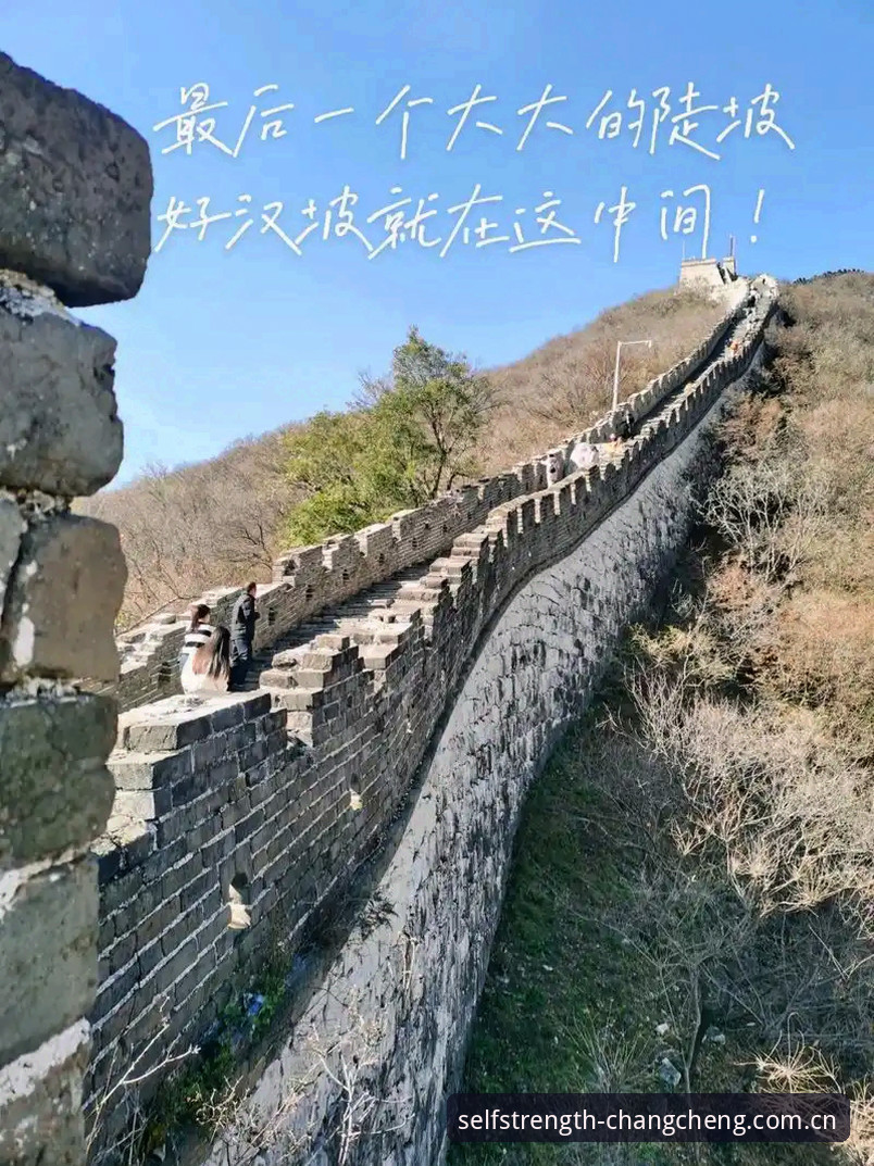 长城体育竞猜功能如何让2024年赛事体验更上一层楼？