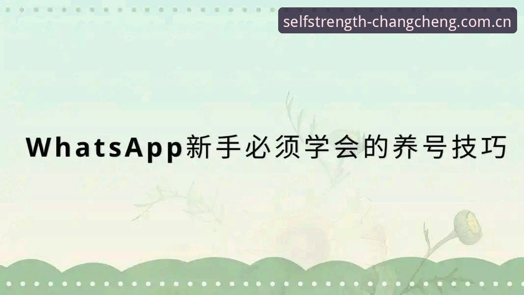 新手必备！长城体育App功能手机版使用心得与实战经验分享