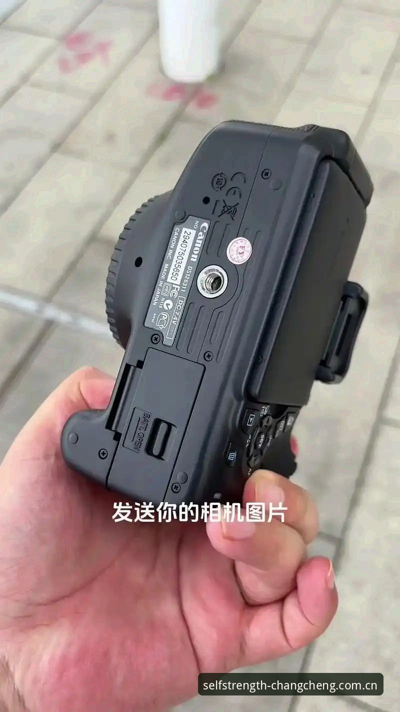 长城体育平台使用教程常见问题全攻略：老用户手把手教你避坑